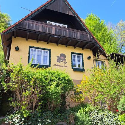 Einfamilienhaus in 3153 Eschenau, Wilhelmsburg
