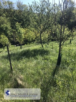 Sonderbauland in 3434 Tulbing
