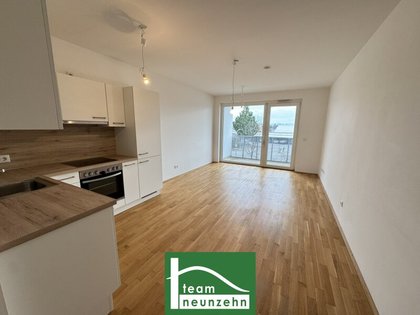 Terrassenwohnung in 2700 Wr. Neustadt, Marktgasse, Rebengasse, Gymelsdorfer Gasse, Akademiepark