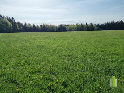 Sonderbauland in 5162 Obertrum am See, Haunsberg