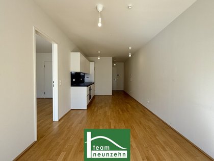 Terrassenwohnung in 1100 Wien, Quartier Belvedere, Wien Hauptbahnhof, Innenstadt