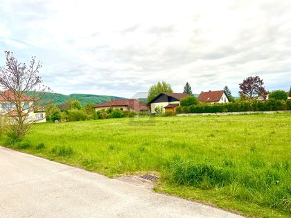 Wohnbauflächen in 3424 Zeiselmauer