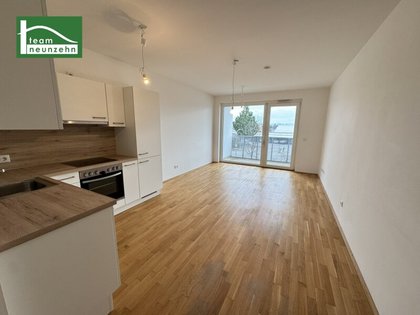Terrassenwohnung in 2700 Wr. Neustadt, Marktgasse, Rebengasse, Gymelsdorfer Gasse, Akademiepark