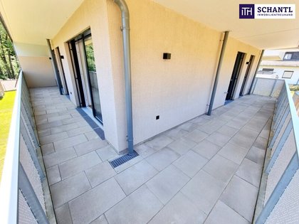 Terrassenwohnung in 2391 Kaltenleutgeben, Naturpark Föhrenberge