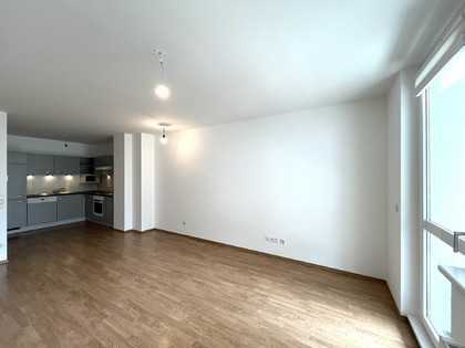 Terrassenwohnung in 1080 Wien, 1080 - Josefstadt