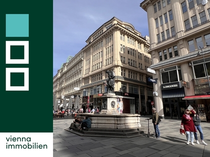 Büro / Praxis in 1010 Wien