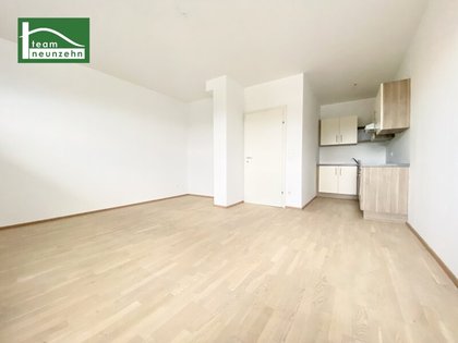 Wohnung in 8010 Graz, Murradweg, Schönaugürtel, XXXLutz