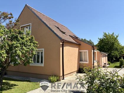 Einfamilienhaus in 3441 Judenau, Tulln