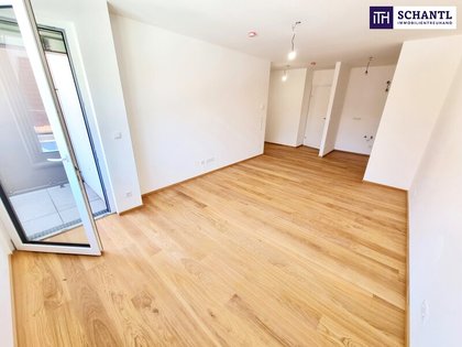 Terrassenwohnung in 1230 Wien