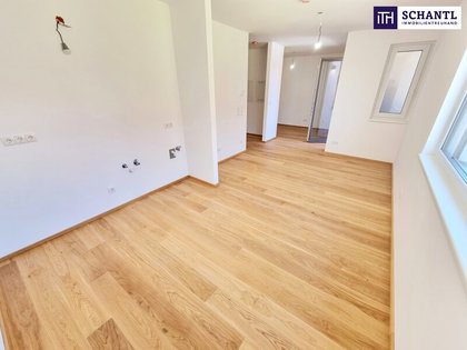 Terrassenwohnung in 1230 Wien