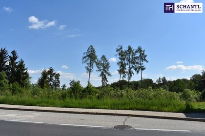 Grundstück in 8301 Laßnitzhöhe