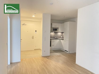 Terrassenwohnung in 1200 Wien, Millennium Tower, Neue Donau, Allerheiligenpark, Handelskai U6