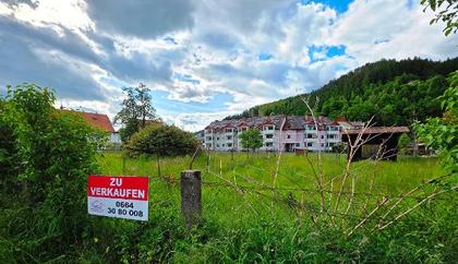 Wohnbauflächen in 9344 Weitensfeld