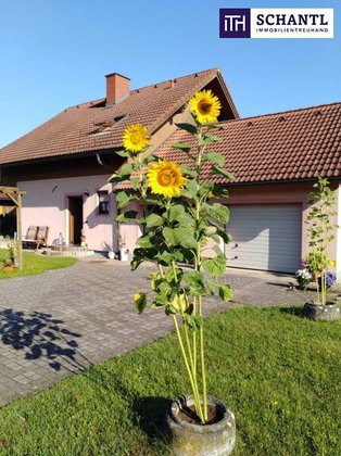 Haus in 8431 Gralla, Leibniz, Steirische Weinstraße, Gamlitz