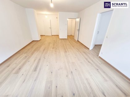 Wohnung in 1180 Wien, Schubertpark