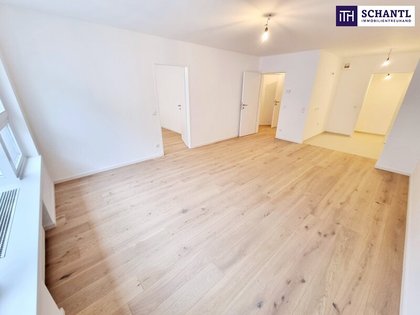 Wohnung in 1180 Wien, Schubertpark