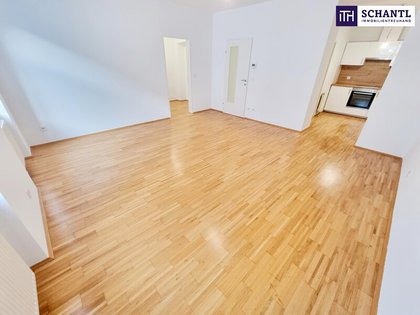 Wohnung in 1170 Wien, Pezzlpark