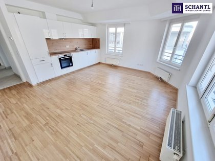 Wohnung in 1170 Wien, Pezzlpark