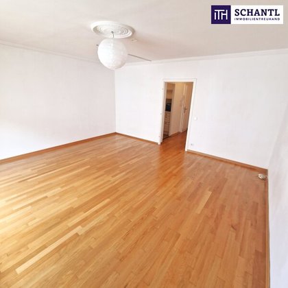 Terrassenwohnung in 1070 Wien, Burggasse