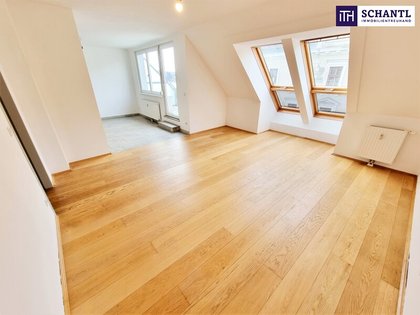 Terrassenwohnung in 1160 Wien, Schmelz