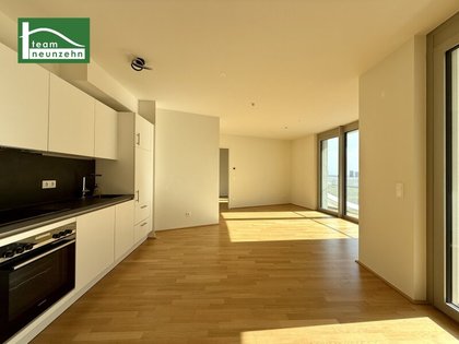 Terrassenwohnung in 1100 Wien