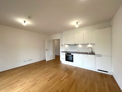 Terrassenwohnung in 1060 Wien, Raimund Theater