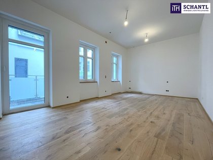 Terrassenwohnung in 1070 Wien, Mariahilfer Straße