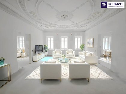 Terrassenwohnung in 1070 Wien, Mariahilfer Straße