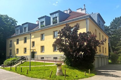 Wohnung in 1130 Wien, Maxingstraße, Altgasse, Schlosspark Schönbrunn