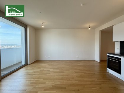 Terrassenwohnung in 1100 Wien, Quartier Belvedere, Wien Hauptbahnhof, Innenstadt