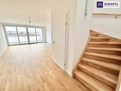 Terrassenwohnung in 1180 Wien, AKH