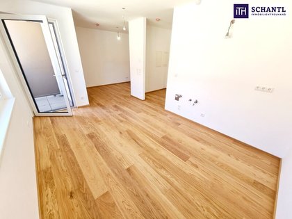 Terrassenwohnung in 1230 Wien