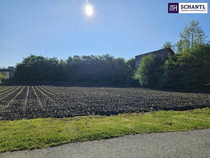 Grundstück in 8510 Stainz, Flascherlzug, Schloss Stainz, Diesel Kino