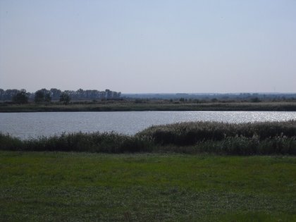 Grundstück in 9434 Sarród Fertoújlak, Fertöulak - Neusiedlersee