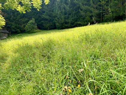 Wohnbauflächen in 8962 Gröbming