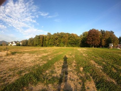 Wohnbauflächen in 8181 Mitterdorf an der Raab, Steiermark