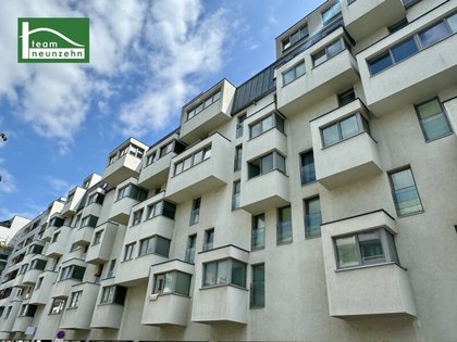 Wohnung in 1220 Wien, Alte Donau, Donauzentrum, Kirschblütenpark