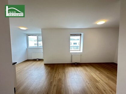 Wohnung in 1220 Wien, Alte Donau, Donauzentrum, Kirschblütenpark