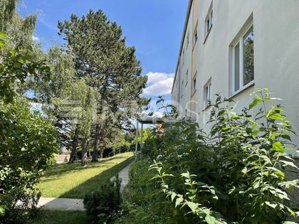 Terrassenwohnung in 2340 Mödling, Niederösterreich