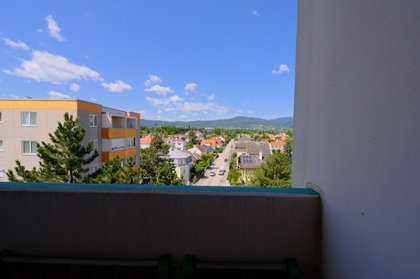 Terrassenwohnung in 2500 Baden