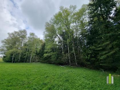Land- und Forstwirtschaft in 5162 Obertrum am See, Haunsberg
