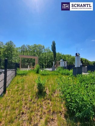 Terrassenwohnung in 2391 Kaltenleutgeben, Naturpark Föhrenberge