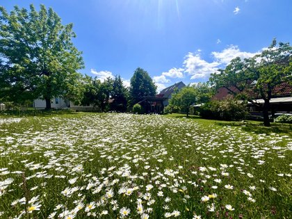 Wohnbauflächen in 8144 Haselsdorf Tobelbad, Steiermark