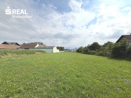 Grundstück in 3435 Zwentendorf an der Donau