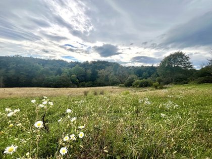 Wohnbauflächen in 8430 Leibnitz, Steiermark