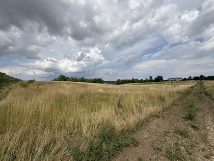 Wohnbauflächen in 2272 Ringelsdorf-Niederabsdorf, Niederösterreich