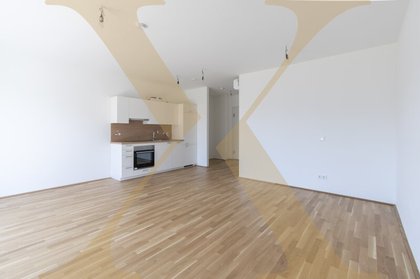 Terrassenwohnung in 4020 Linz, Kepler Universitätsklinikum-Neuromed Campus