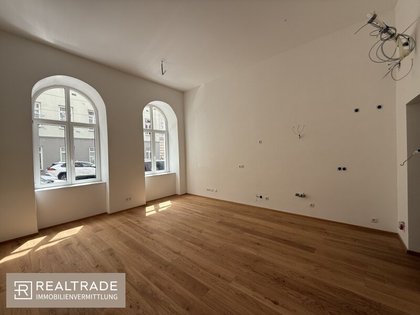 Wohnung in 1020 Wien, Augarten, Heinestraße, grüner Prater