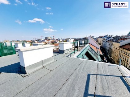 Terrassenwohnung in 1070 Wien, Spittelberg
