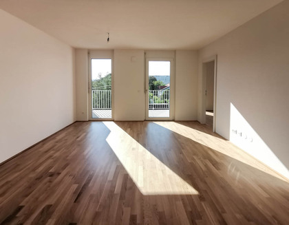 Terrassenwohnung in 1230 Wien, 1230 - Liesing